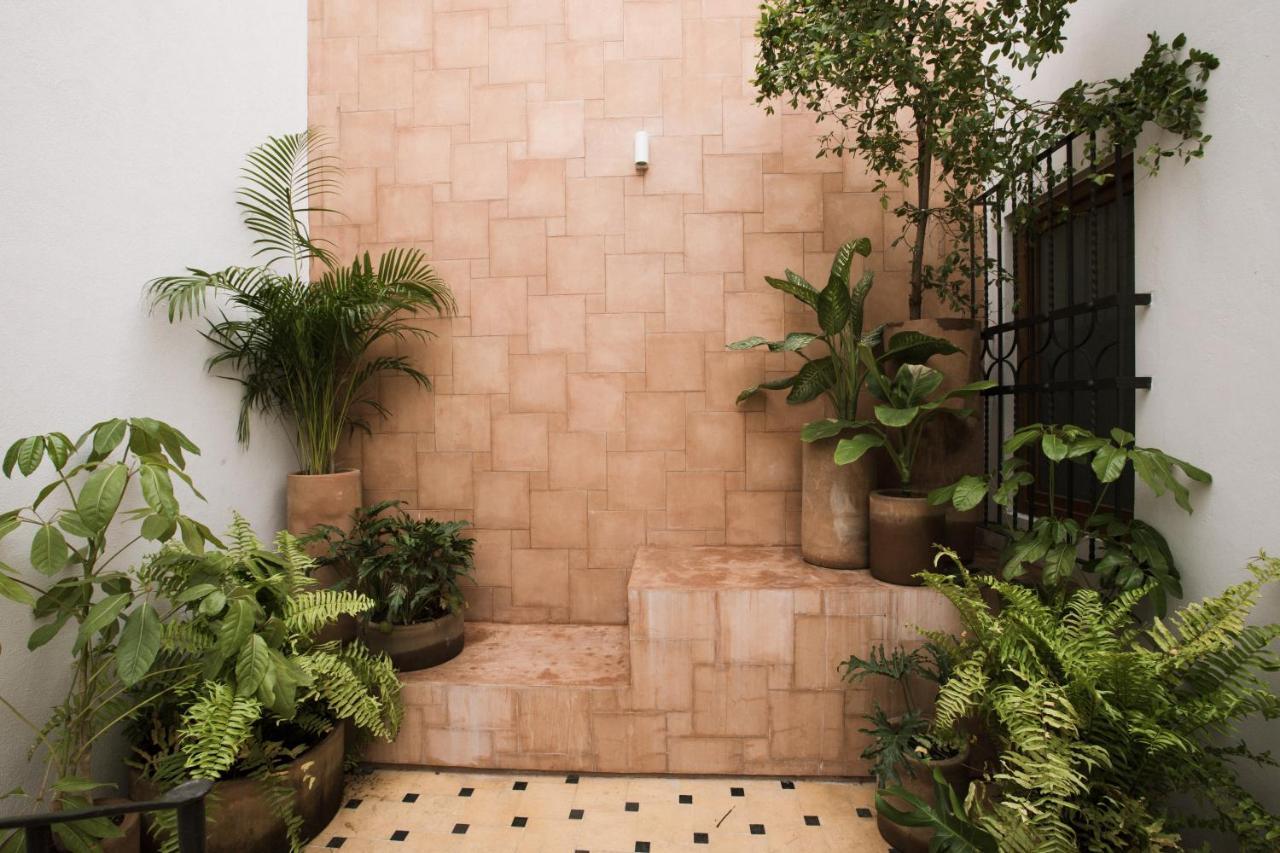 Casa Montore By Barrio Mexico 과달라하라 외부 사진